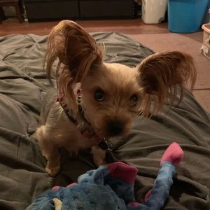 Meet your Posher, Demarie